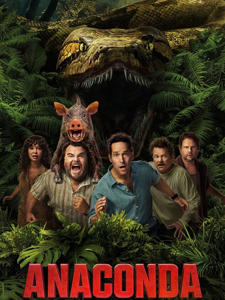 صورة الغلاف