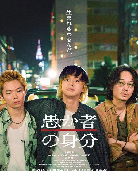 صورة الغلاف