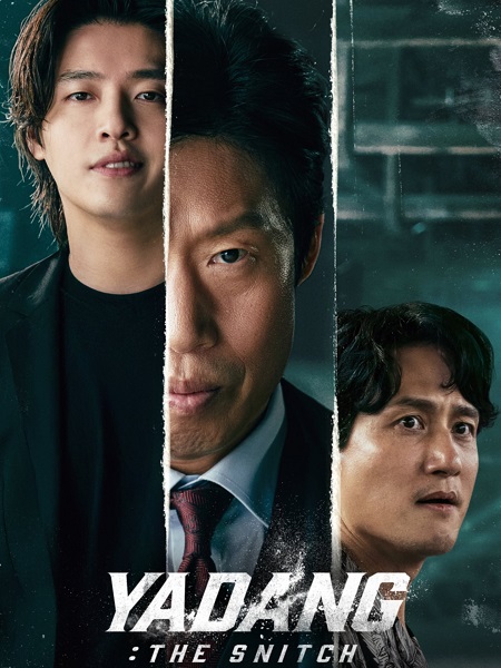 صورة الغلاف