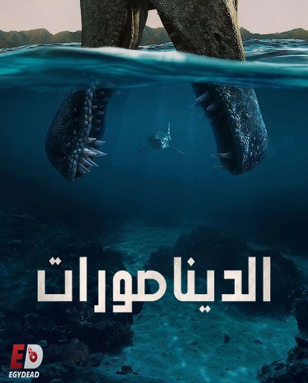 صورة الغلاف