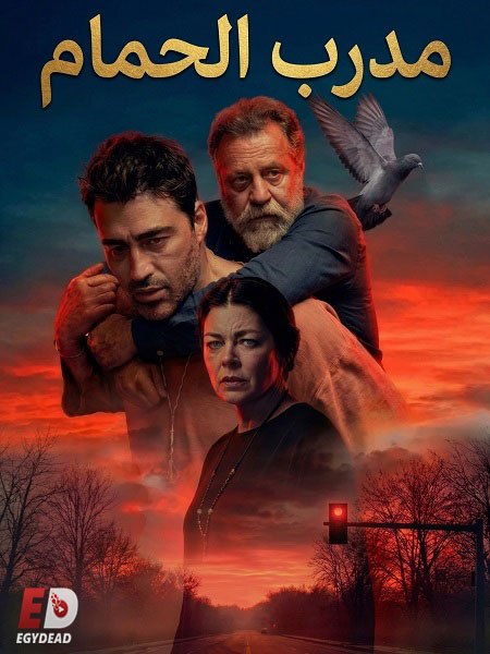 صورة الغلاف