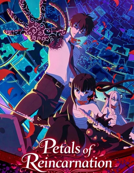 صورة الغلاف