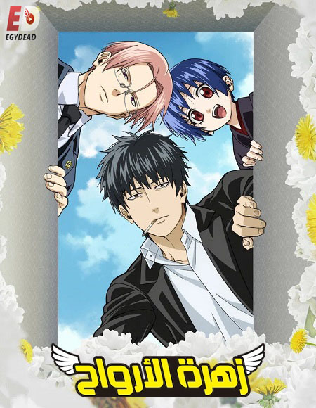 صورة الغلاف