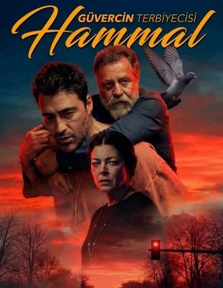 صورة الغلاف