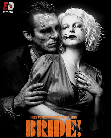 صورة الغلاف