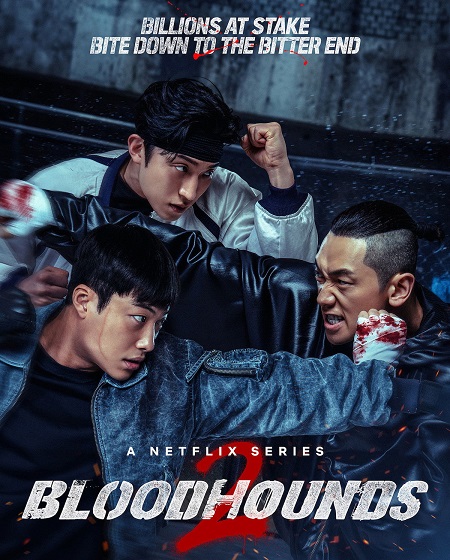 صورة الغلاف